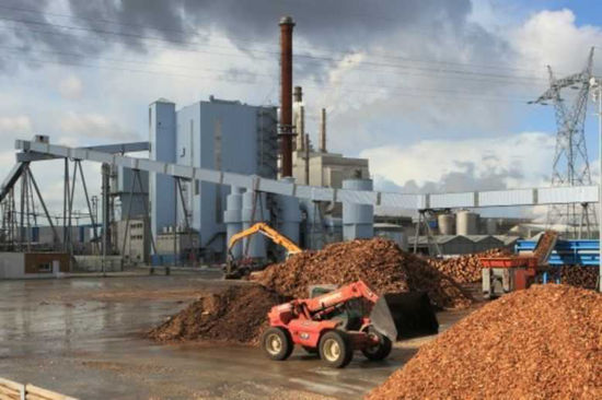 Picture of Biomass based power plant in Mahendargarh, Haryana