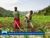 Image de  Programme de santé publique de DelAgua en Afrique de l'Est