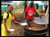 Cook Stoves for Schools