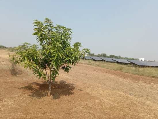 Picture of Solar Photovoltaic Power Plant in Andhra Pradesh